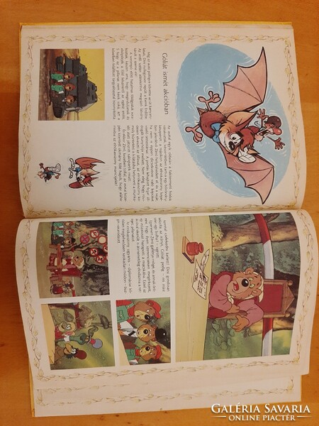 Dargay Attila - Hévízi Gábor: Az erdő kapitánya gyermek- és ifjúsági mesekönyv 1988 64 oldalas