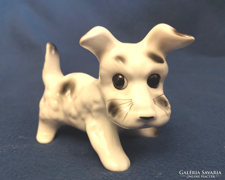 Porcelán Kölyökkutya 15 x 11 cm