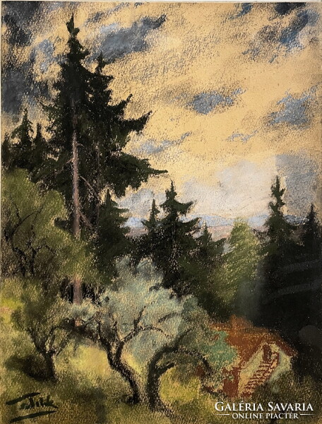 Eredetiségigazolással,számláva,Sztelek Norbert (1884 - 1956):Erdélyi táj ,kerettel 65 x 54 cm