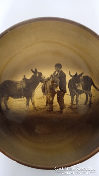 Vintage, RIDGWAYS ROYAL VISTA WARE, kőporcelán dísztányér, falitányér