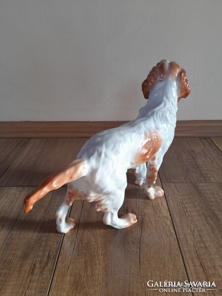 Régi Herendi porcelán nagyméretű kutya, ír szetter