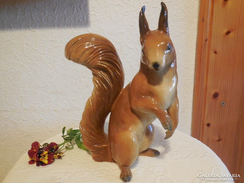 ENS  mókus  , fülén piciny  lapattanás , 20 cm