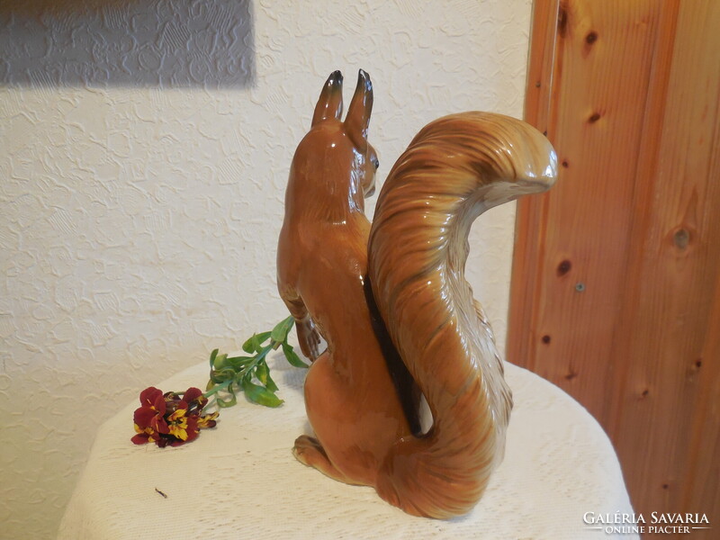 ENS  mókus  , fülén piciny  lapattanás , 20 cm