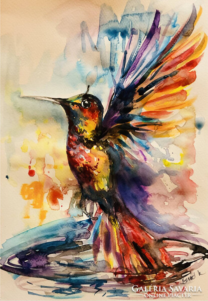 Kolibri sorozat.  A4 méret. Kiemelkedően szép akvarell.