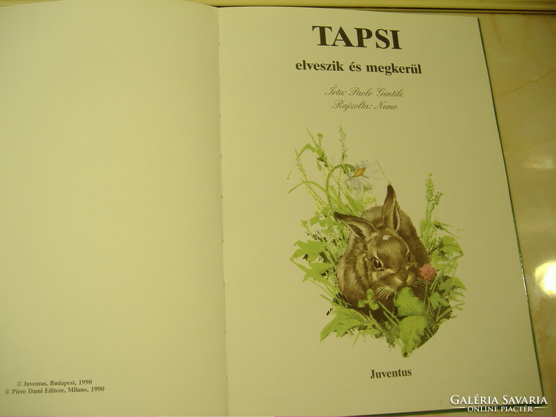 Paolo Gentile TAPSI ELVESZIK ÉS MEGKERÜL, Rajzolta: Nemo Juventus Kft. , Budapest, 1990