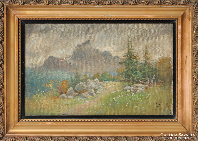 Zorkóczy Gyula: Hegyvidék