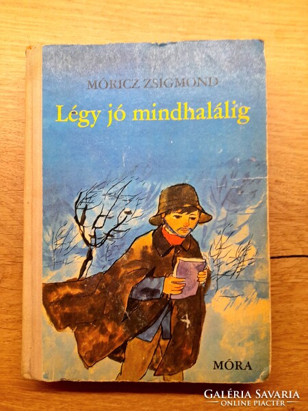Régi könyv: Reich Károly rajzaival