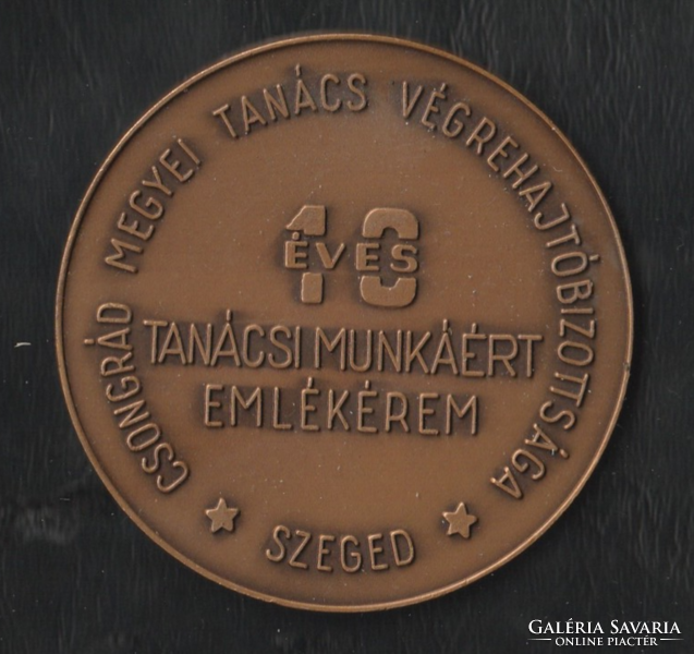 10 éves tanácsi munkáért emlékérem