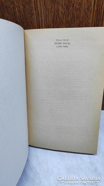 Herman Melville - Mobi Dick a Fehér Bálna