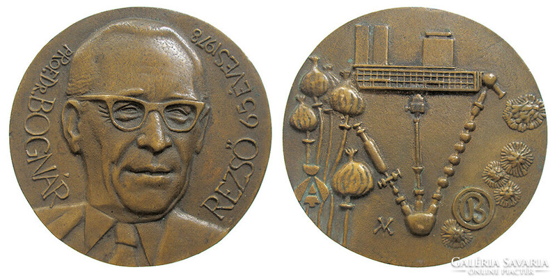 Váró Márton: prof. dr. Bognár Rezső gyógyszerész / Biogal 1978