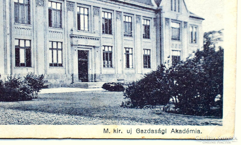 Magyaróvár - M kir új Gazdasági Akadémia   régi képeslap  1930