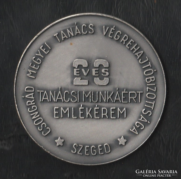 20 éves tanácsi munkáért emlékérem.