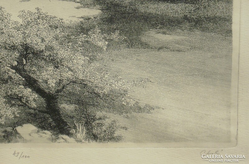 + Gy. Molnár István : Folyópart   (49/100)