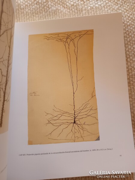 Orvosok és biológusok figyelmébe !!!!!! Santiago Ramon y Cajal (1852-2003): Tudomány és művészet