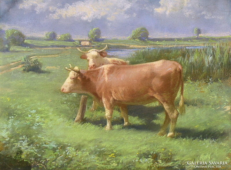 Sándor (?) jelzéssel XX. sz eleje : TEHENEK A RÉTEN