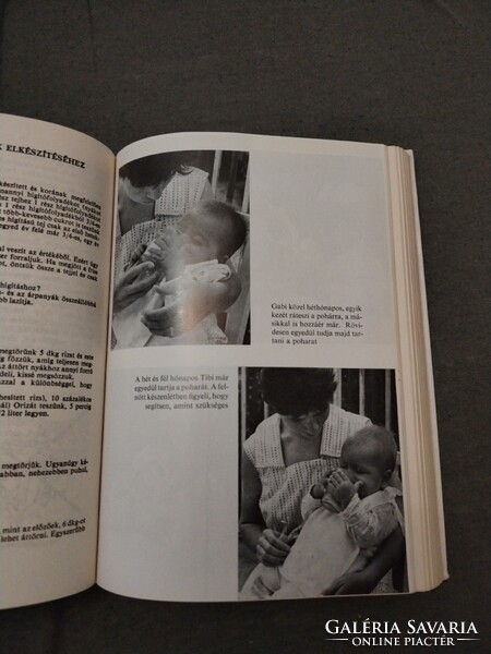 László Magda Péterné Dr. Pikler Emmi: Anyák könyve