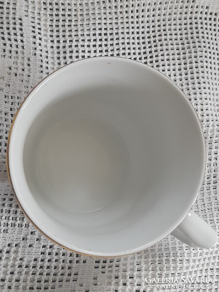 Cseh szoknyás ibolyás bögre