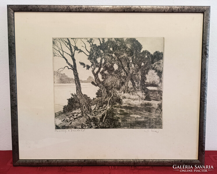 Biai Föglein István Ösvény A Dunánál Rézkarc Szép Keretben