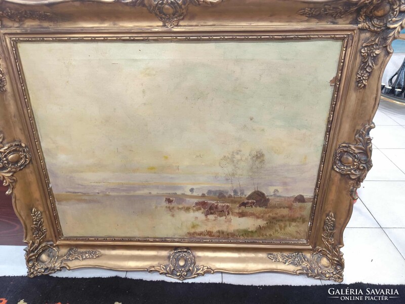 Olgyay Ferenc  Tehenek