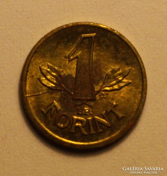 Kádár mini 1 forintos (4) - korrodált