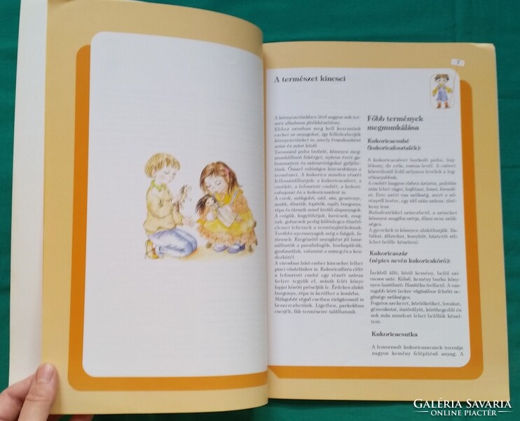 Pető Éva: Csutkanépek - száz éves játékok a természet kincseiből > Hobbi > Kézművesség, barkácsolás