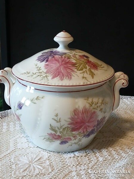 Antik porcelán   cseh komatál ritka ! Gyűjtőknek!