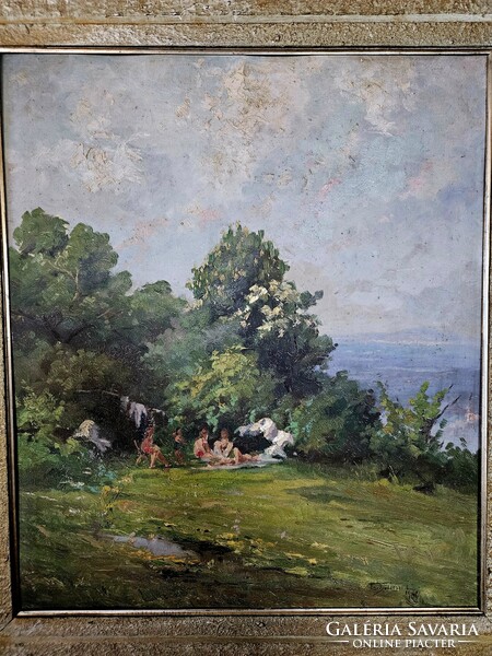 Tscheligi Csűrös Lajos Piknik a Gellért hegyen