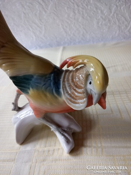 Ens madár  36 cm!!!