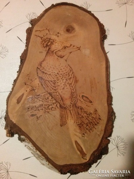 Rusztikus fa kép, fatábla natúr szélezetlen, nagy falikép madár motívum