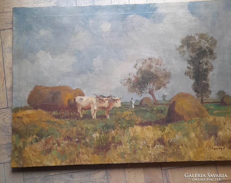 Olgyay Ferenc-1ft-ról!!