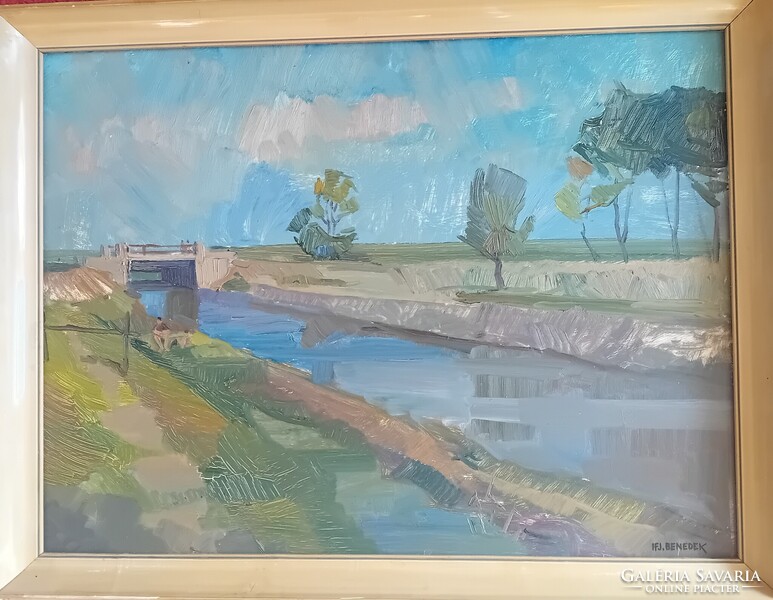Ifj Benedek Jenő : Vízparti  táj , tájkép