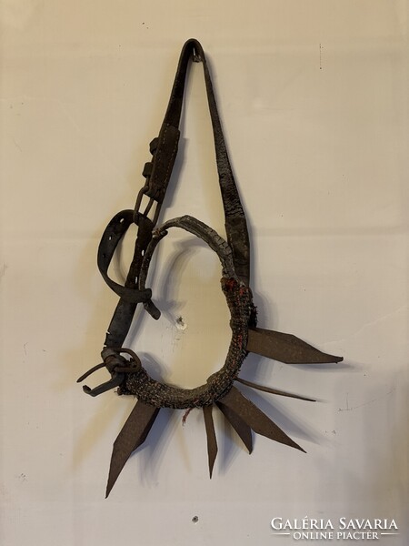 Old Transylvanian dog collar against wolf attack