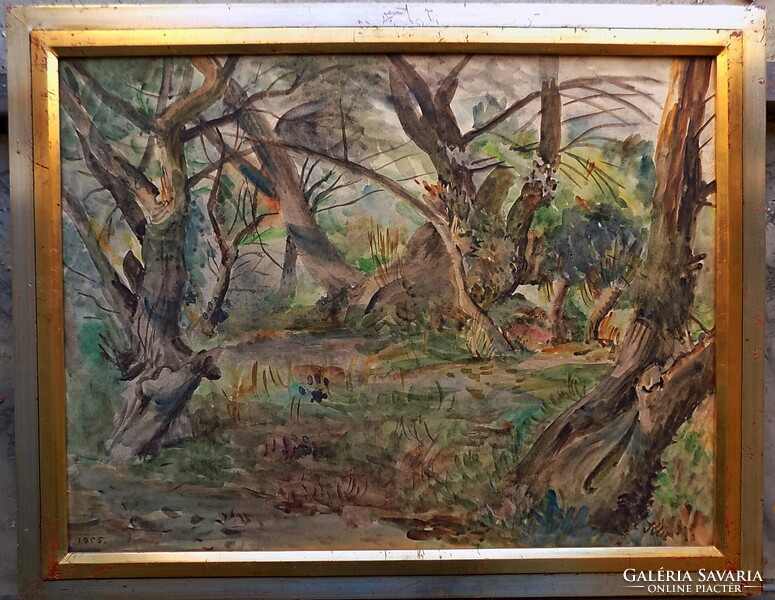 Klie Zoltán: Nagymaros , Garanciával