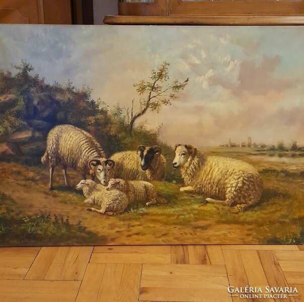 Bárányok -1ft-ról!!