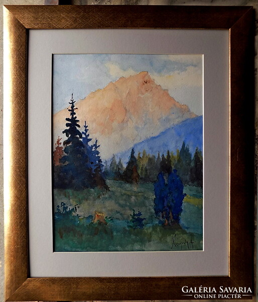 Neogrády Antal: Garanciával