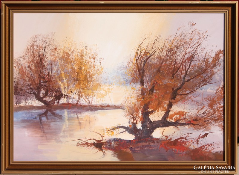 Balogh Ervin: Tavaszi áradás napsütésben