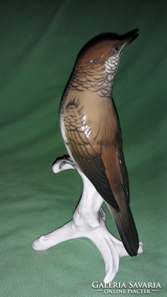 Nagyon szép és ritka ENS VOLKSTEDT porcelán madár Nyaktekercs (Jinx torquilla) 19cm a képek szerint