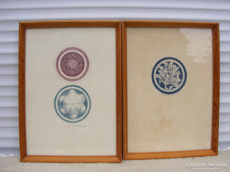 ÁBRAHÁM  RAFAEL  Biológiai kompozíció párban