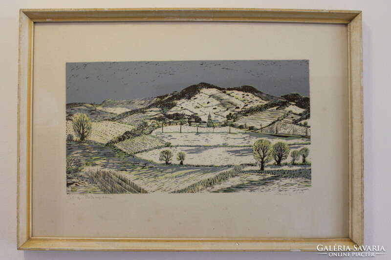 Csavlek András - Tél a Bakonyban