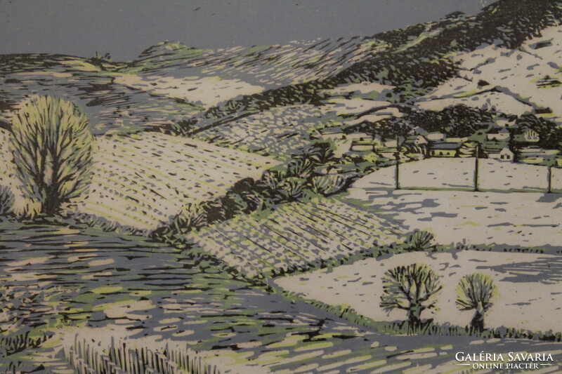 Csavlek András - Tél a Bakonyban