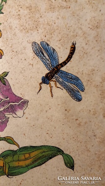 Ceramano West Germany falicsempe kerámia fali kép - Digitalis purpurea - Piros gyűszűvirág