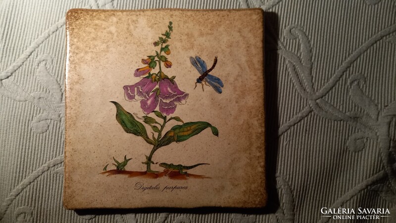 Ceramano West Germany falicsempe kerámia fali kép - Digitalis purpurea - Piros gyűszűvirág