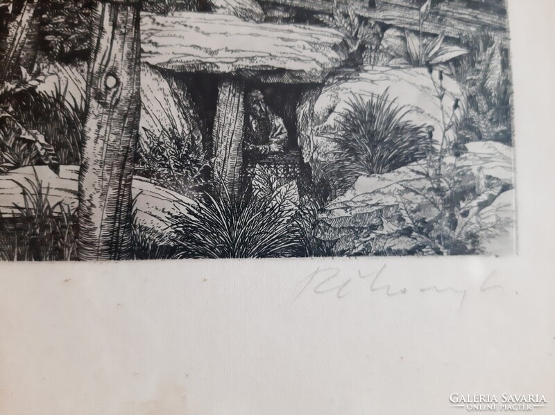 Rékassy Csaba- Göcseji vizimalom