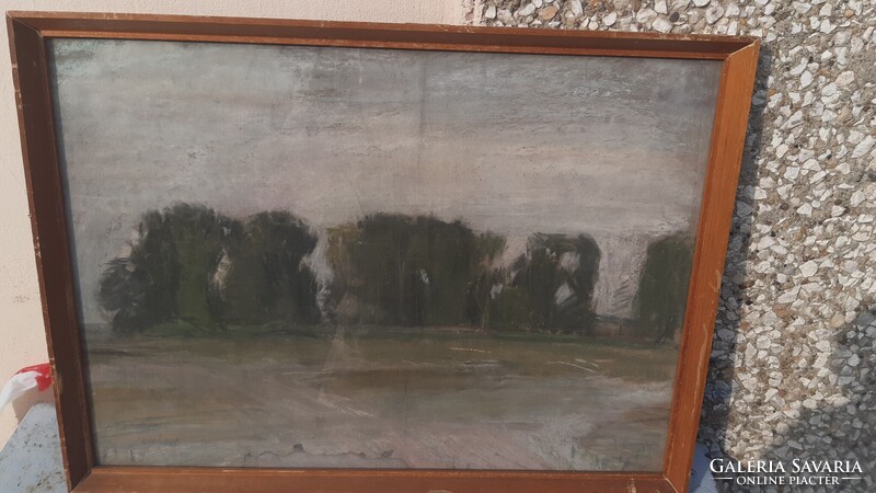 Imreh Zsigmond :Sajóparti Töltés Fákkal