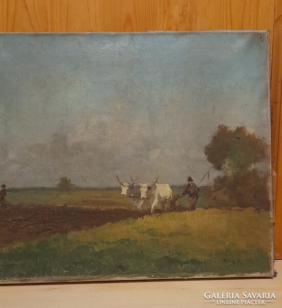 Pádly Aladár 1-ft-ról!!