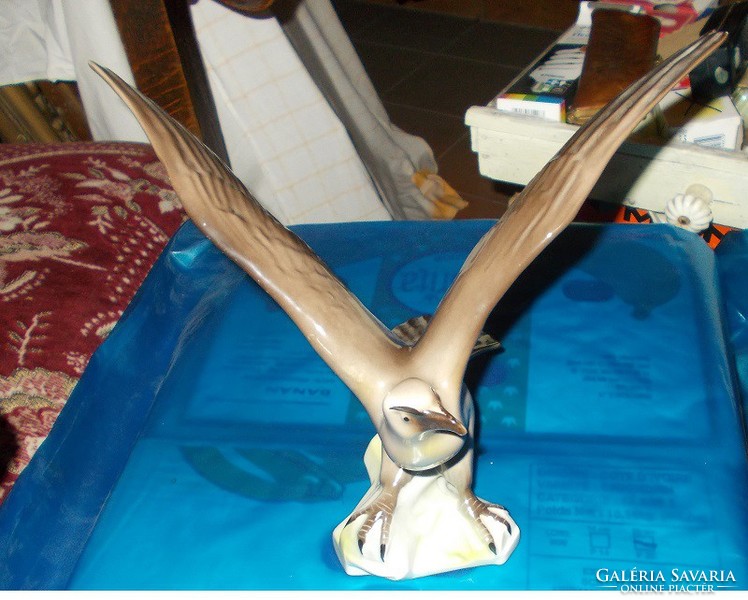 Gyönyörű Sas madár.Román porcelán