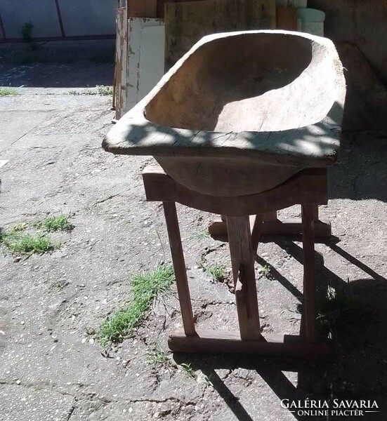 Nagyon öreg fateknő az álványával