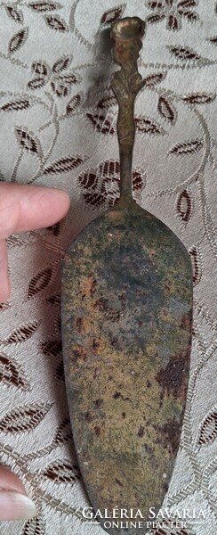 Tortaszedő 1 FORINTRÓL!