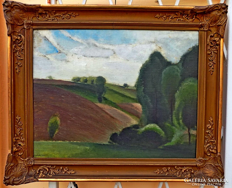 Csánky Dénes: 1885-1972 Eredetiség igazolással SZÁMLÁVAL