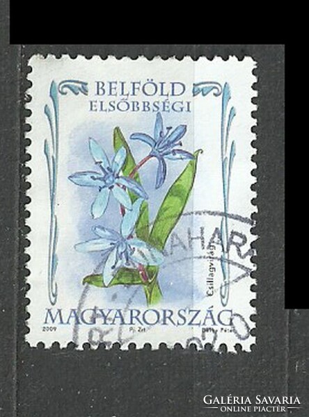 Belföld elsőbbségi